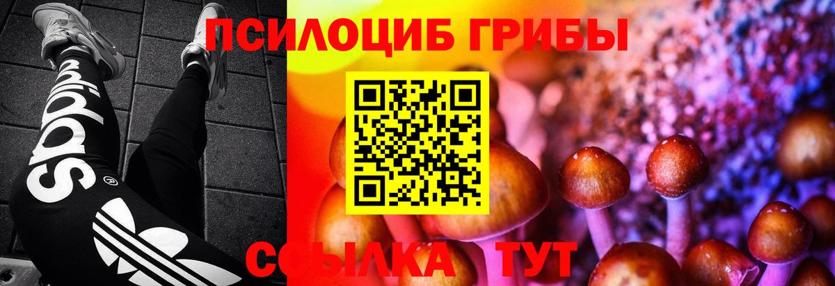 Ессентуки  Галлюциногенные грибы GOLDEN TEACHER  Вход с VPN 