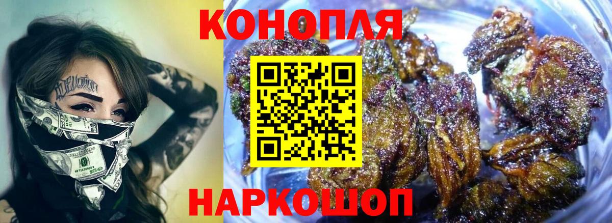 Шишки марихуана OG Kush Ессентуки
